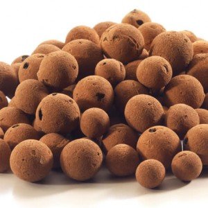 Hydroton or clay pebbles Hydroton or clay pebbles