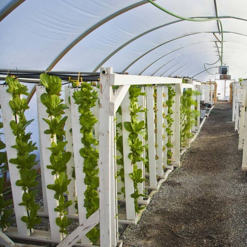 zipgrow vertical aquaponics system