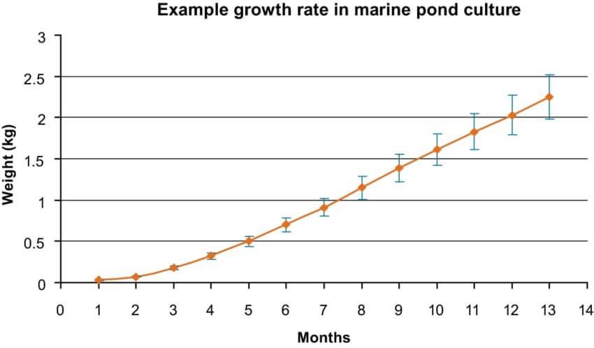 is barramundi for aquaponics good?