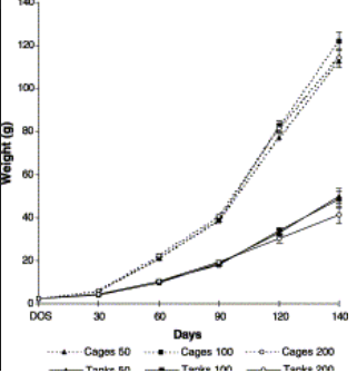 Silver Perch Growth Chart