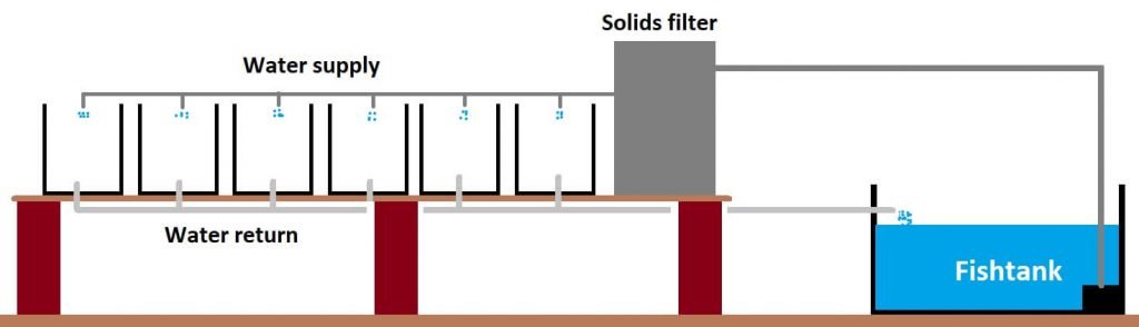 dutch bucket system